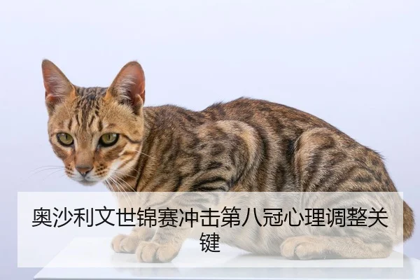 奥沙利文世锦赛冲击第八冠心理调整关键